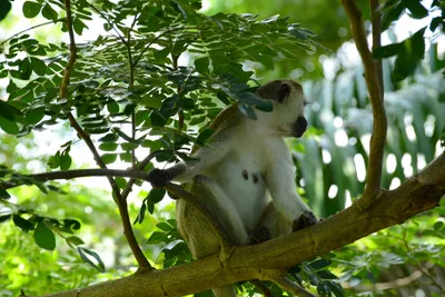 DSC_7912 (Large).JPG